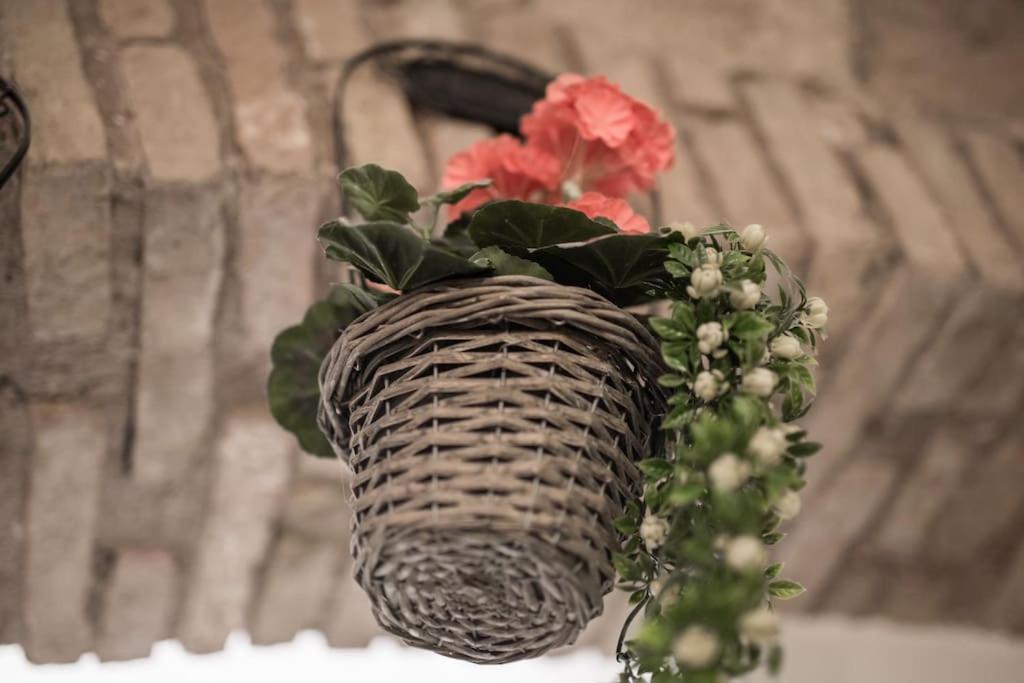 Lejlighed Shabby @trastevere